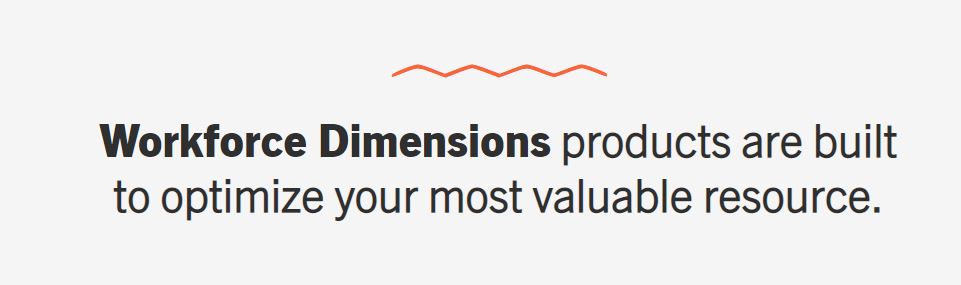 Workforce Dimensions